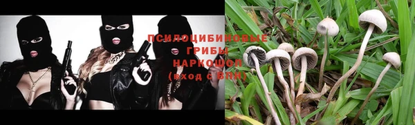 дурь Зеленокумск