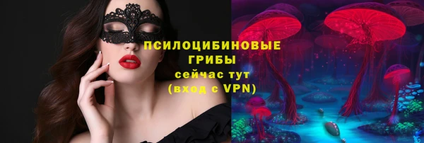 дживик Зеленодольск