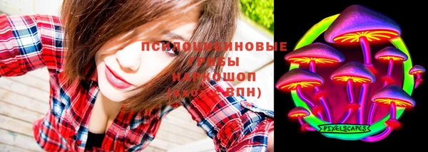 дживик Зеленодольск