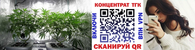 ТГК вейп  Купить где  Дагестанские Огни 