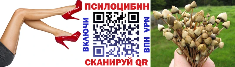 Купить закладки  Дагестанские Огни  Галлюциногенные грибы мицелий 