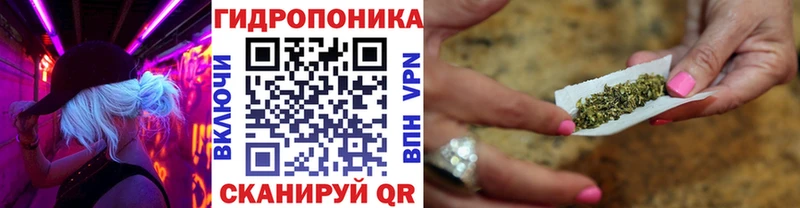 Бошки марихуана AK-47  Купить где  Дагестанские Огни 